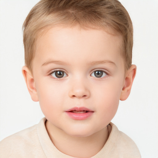 Neutral white child male with short  brown hair and brown eyes