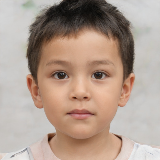 Neutral white child male with short  brown hair and brown eyes