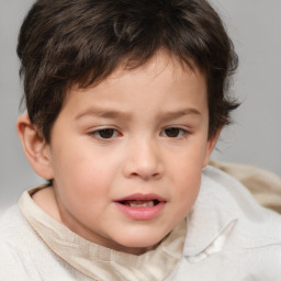 Neutral white child male with short  brown hair and brown eyes