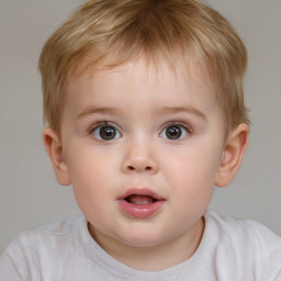 Neutral white child male with short  brown hair and brown eyes