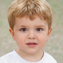 Neutral white child male with short  brown hair and brown eyes