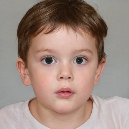 Neutral white child male with short  brown hair and brown eyes