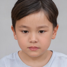 Neutral white child male with short  brown hair and brown eyes