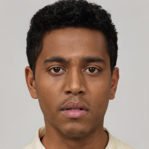 Neutral black young-adult male with short  black hair and brown eyes