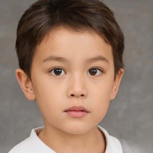 Neutral white child male with short  brown hair and brown eyes