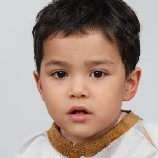 Neutral white child male with short  brown hair and brown eyes