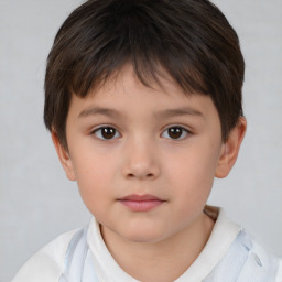 Neutral white child male with short  brown hair and brown eyes