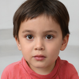 Neutral white child male with short  brown hair and brown eyes