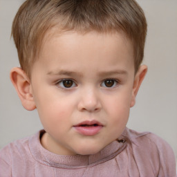 Neutral white child male with short  brown hair and brown eyes