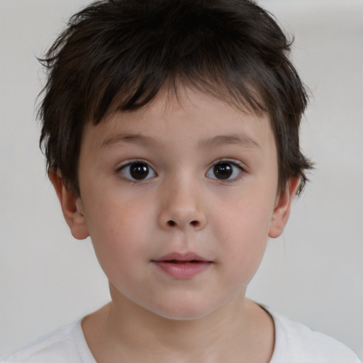 Neutral white child male with short  brown hair and brown eyes