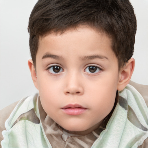 Neutral white child male with short  brown hair and brown eyes