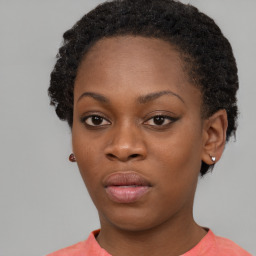 Neutral black young-adult female with short  brown hair and brown eyes