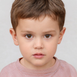 Neutral white child male with short  brown hair and brown eyes