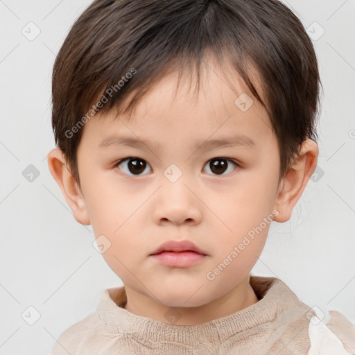 Neutral white child male with short  brown hair and brown eyes