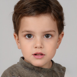 Neutral white child male with short  brown hair and brown eyes