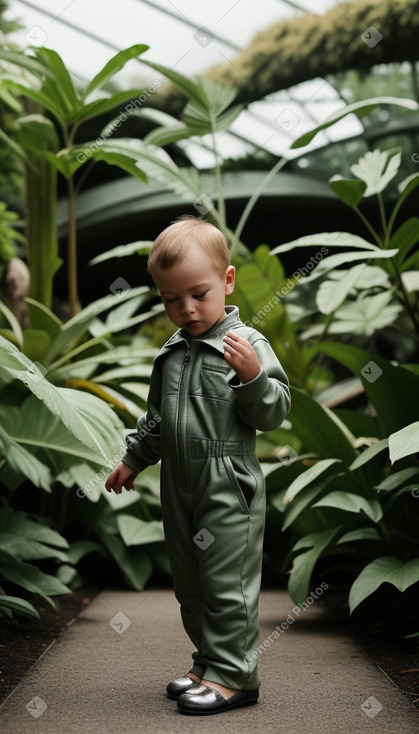 New zealand infant boy 