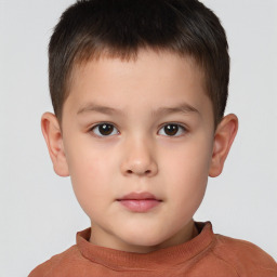 Neutral white child male with short  brown hair and brown eyes