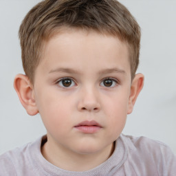 Neutral white child male with short  brown hair and brown eyes