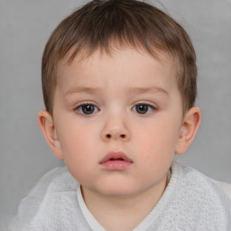 Neutral white child male with short  brown hair and brown eyes