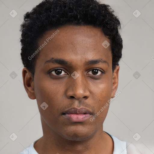 Neutral black young-adult male with short  black hair and brown eyes