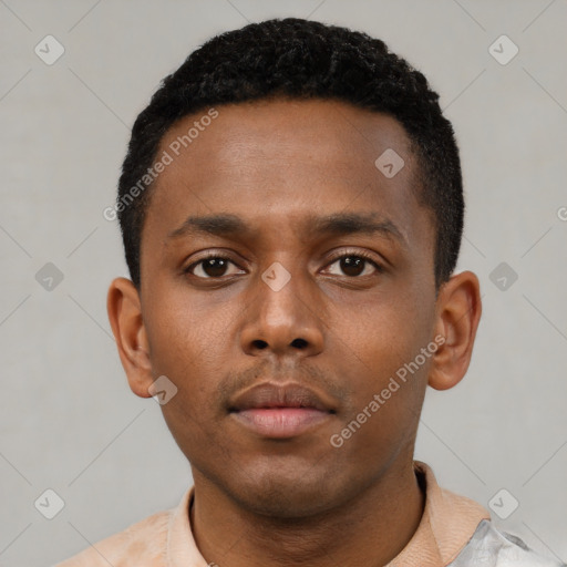 Neutral black young-adult male with short  black hair and brown eyes