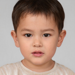 Neutral white child male with short  brown hair and brown eyes