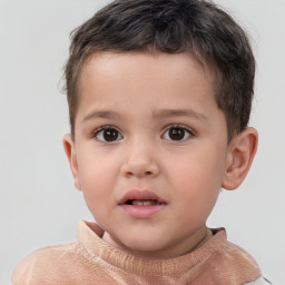 Neutral white child male with short  brown hair and brown eyes