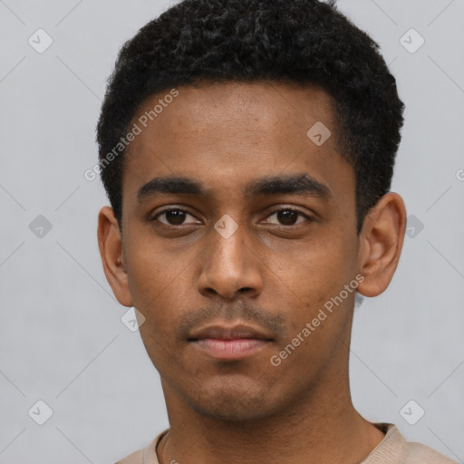Neutral black young-adult male with short  black hair and brown eyes