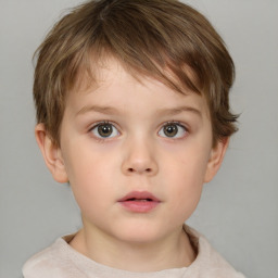 Neutral white child male with short  brown hair and brown eyes