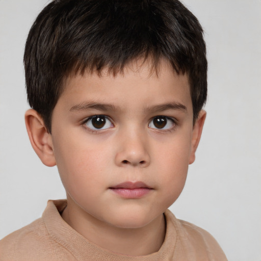 Neutral white child male with short  brown hair and brown eyes