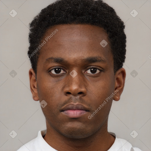 Neutral black young-adult male with short  brown hair and brown eyes