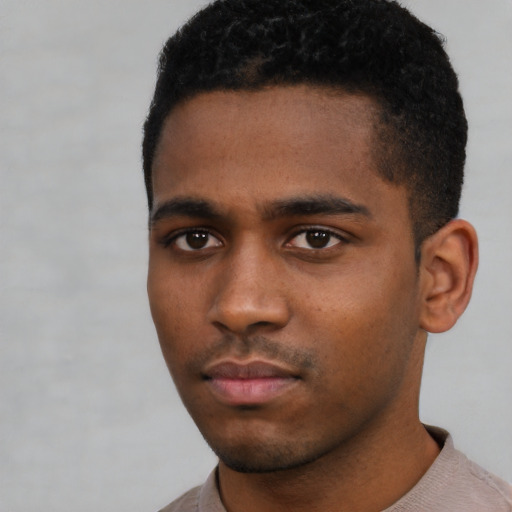 Neutral black young-adult male with short  black hair and brown eyes