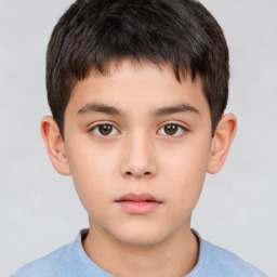 Neutral white child male with short  brown hair and brown eyes