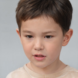 Neutral white child male with short  brown hair and brown eyes