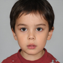 Neutral white child male with short  brown hair and brown eyes