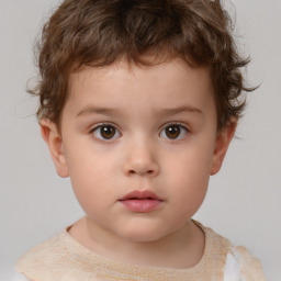Neutral white child male with short  brown hair and brown eyes