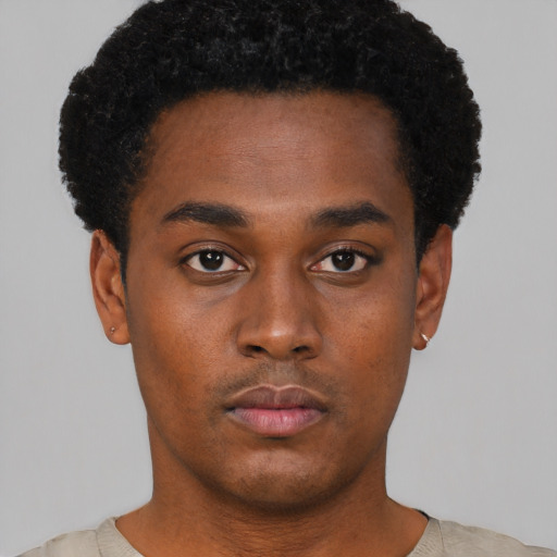 Neutral black young-adult male with short  black hair and brown eyes