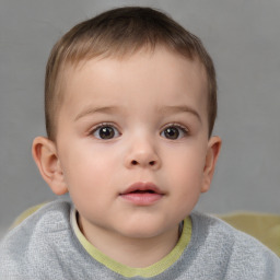 Neutral white child male with short  brown hair and brown eyes