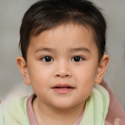 Neutral white child male with short  brown hair and brown eyes