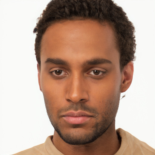 Neutral black young-adult male with short  brown hair and brown eyes