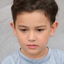 Neutral white child male with short  brown hair and brown eyes