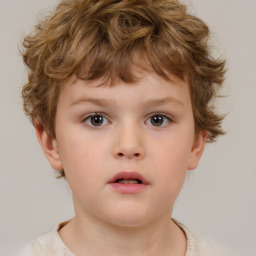 Neutral white child male with short  brown hair and brown eyes