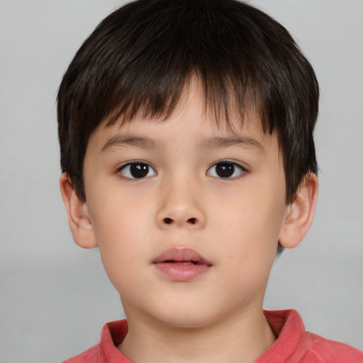Neutral white child male with short  brown hair and brown eyes