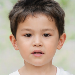 Neutral white child male with short  brown hair and brown eyes