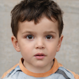 Neutral white child male with short  brown hair and brown eyes