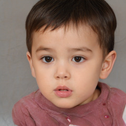 Neutral white child male with short  brown hair and brown eyes