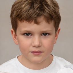 Neutral white child male with short  brown hair and brown eyes