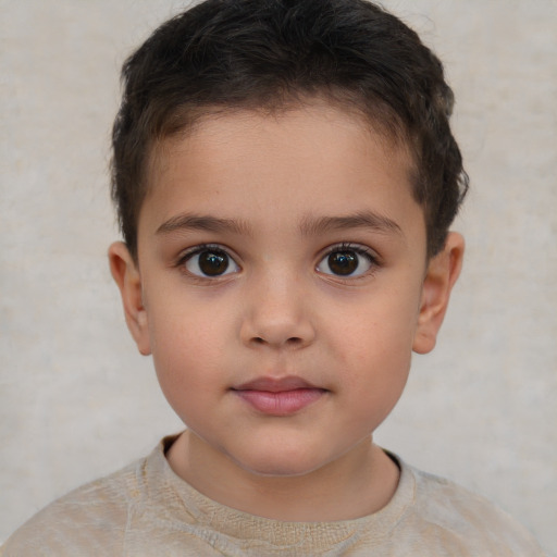 Neutral white child male with short  brown hair and brown eyes