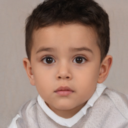 Neutral white child male with short  brown hair and brown eyes