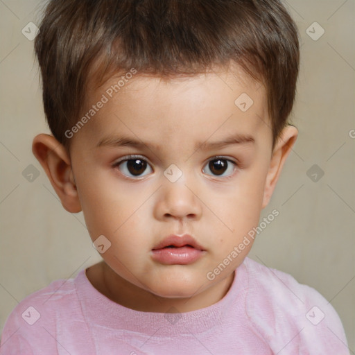 Neutral white child male with short  brown hair and brown eyes